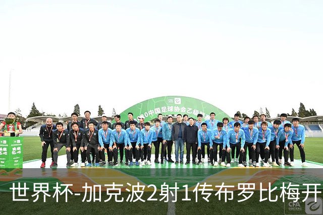 世界杯-加克波2射1传布罗比梅开二度 荷兰5-1大胜瑞典
