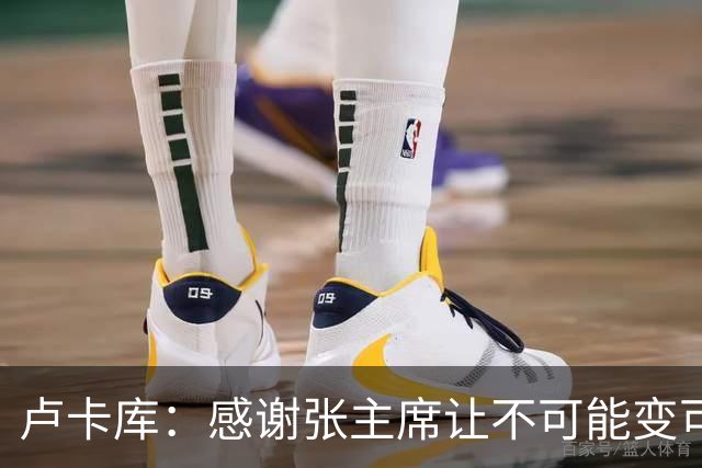 卢卡库：感谢张主席让不可能变可能 会全力帮国米